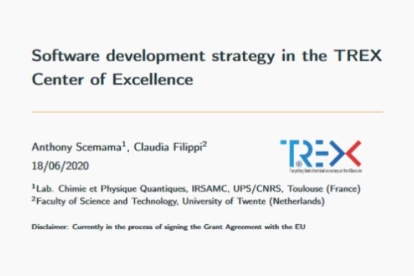 Software development strategy in the TREX Center of Excellence
