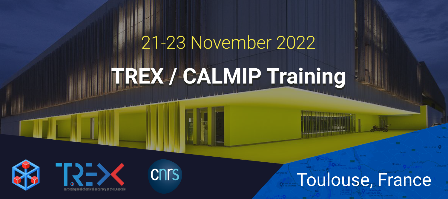 TREX/CALMIP Training