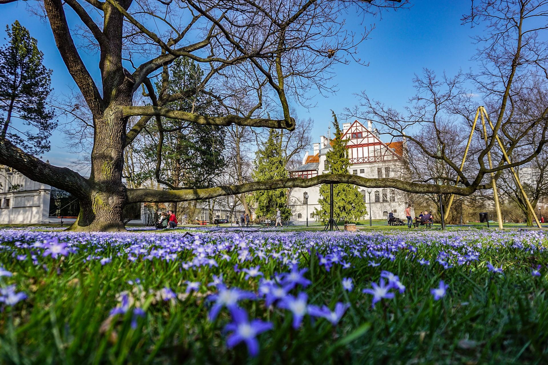 Institute of  Physics at Lodz University of  Technology campus in Łódź, Poland