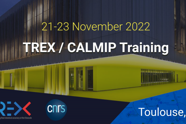 TREX/CALMIP Training